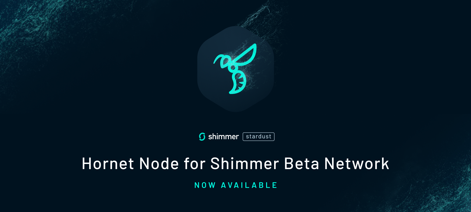 Hornet Node Software for Shimmer Beta Network