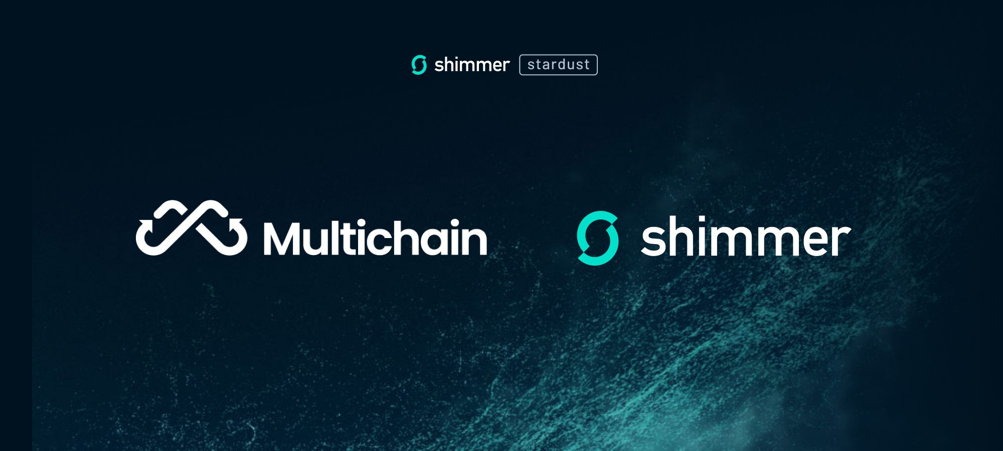 Shimmer Partners With Multichain
